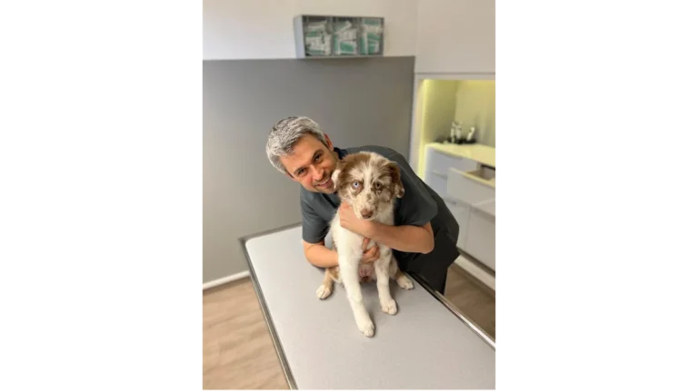 Tierarzt profelios Aachen Kleintierpraxis