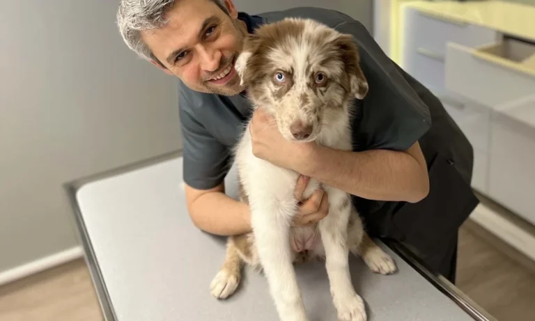 Tierarzt profelios Aachen Kleintierpraxis