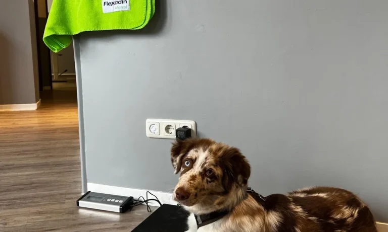 Tierarzt profelios Aachen Kleintierpraxis