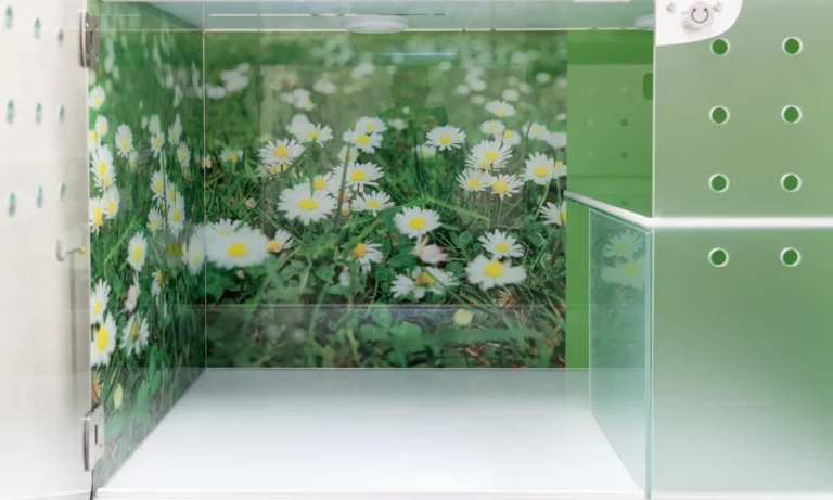 Tierarzt Schwerin, Kleintierzentrum Sieben Seen Schwerin