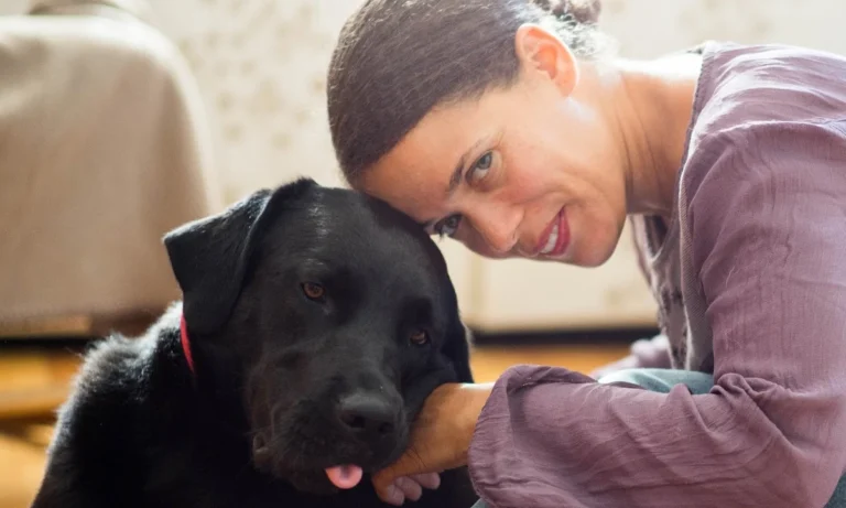 Tierarzt Verhaltenstherapie Hunde