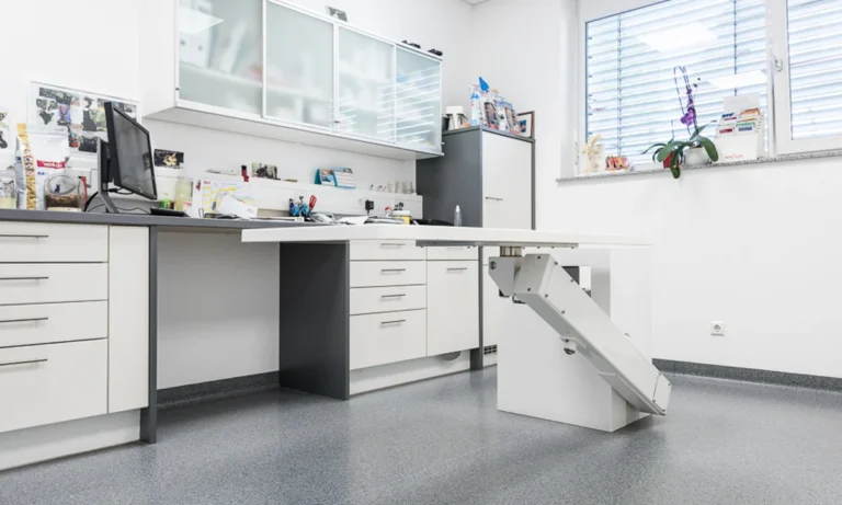 Tierarzt Villforth Heilbronn, Kleintierpraxis Dr. Yvonne Villforth