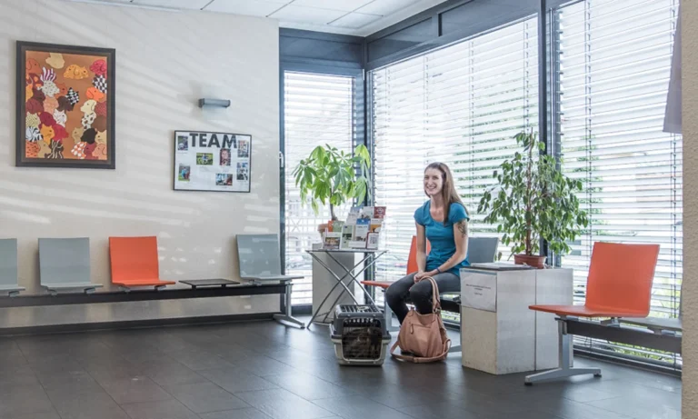 Tierarzt Villforth Heilbronn, Kleintierpraxis Dr. Yvonne Villforth