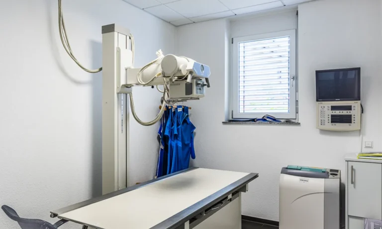 Tierarzt Villforth Heilbronn, Kleintierpraxis Dr. Yvonne Villforth