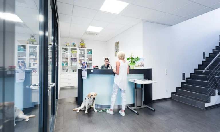 Tierarzt Villforth Heilbronn, Kleintierpraxis Dr. Yvonne Villforth