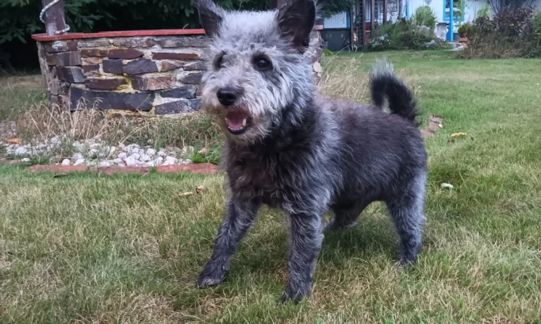 Tierärzte am Nordpark