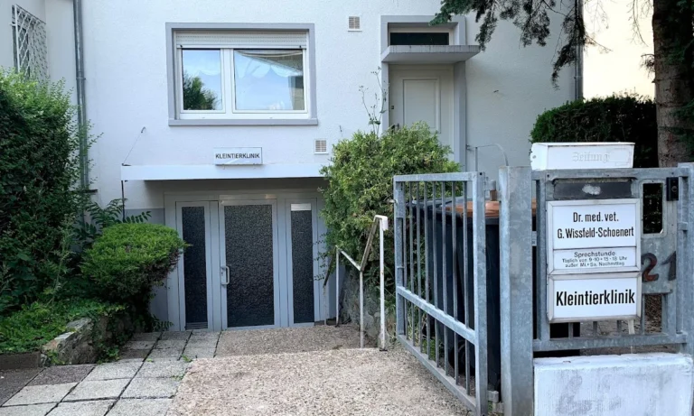 Tierärzte im Holzhausenviertel – Ksenia Zamora
