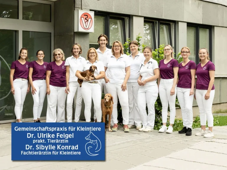 Tierärzte IVC Evidensia GmbH Tierärztezentrum Landshut