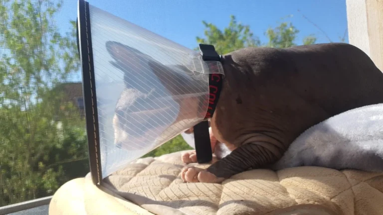 Tierärztehaus Darmstadt A. Kasperczyk & Dr. N. Wunderlin GbR