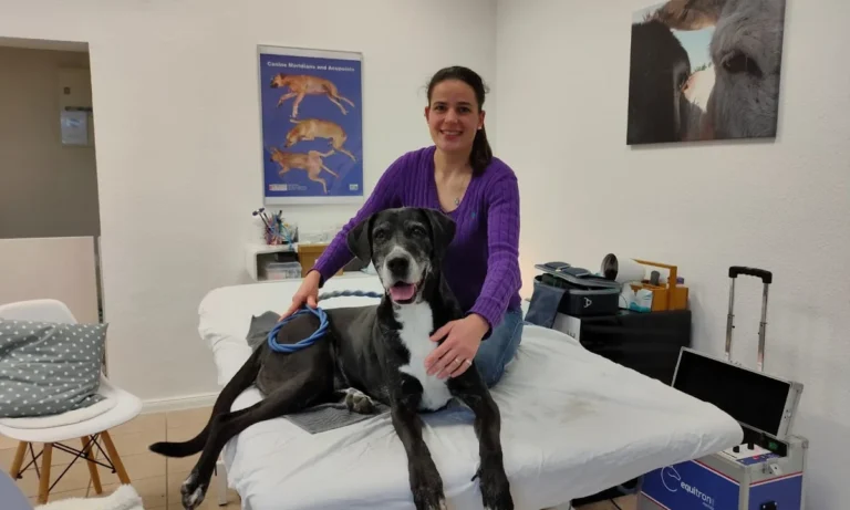 Tierärztin für Chiropraktik, Osteopathie, Rehapraxis für Tiere