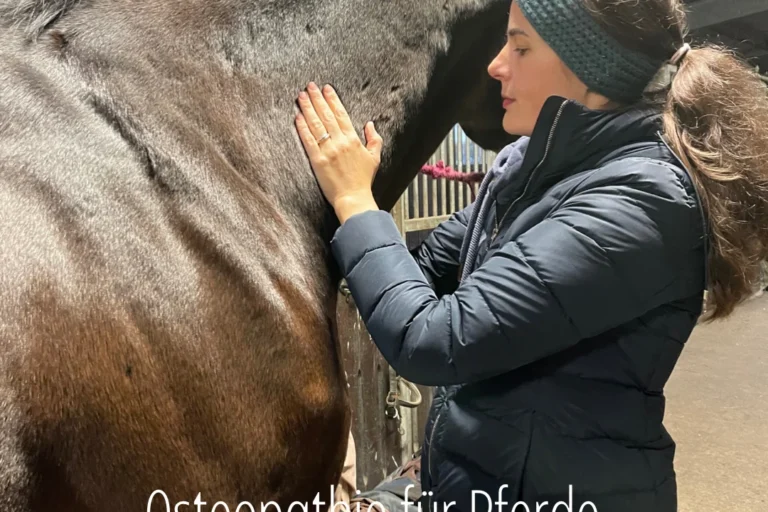 Tierärztin für Chiropraktik, Osteopathie, Rehapraxis für Tiere