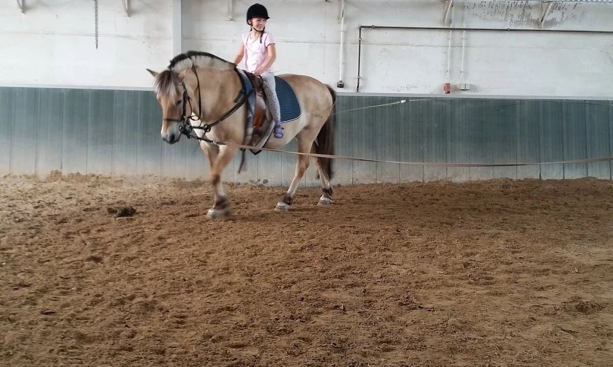 Tierarzt Tierärztin K. Osterland Dessau