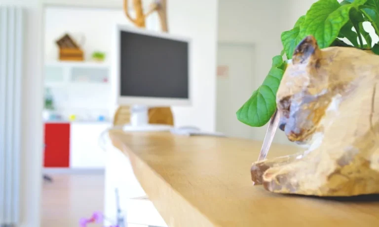 Tierärztin Svea Lucas