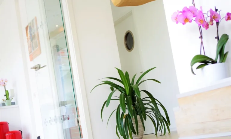 Tierärztin Svea Lucas