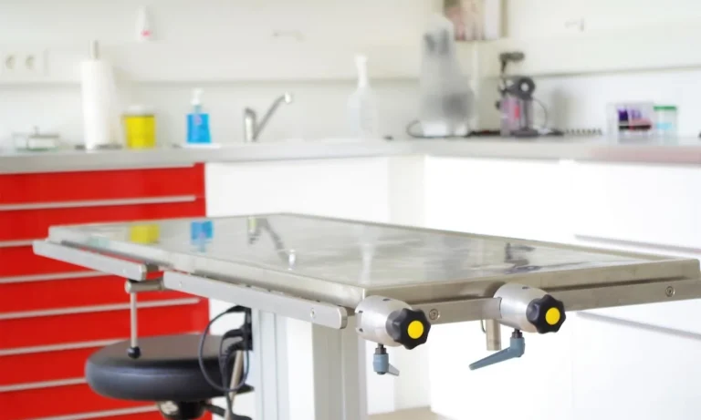 Tierärztin Svea Lucas