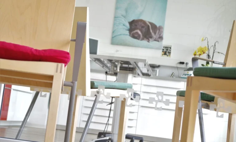 Tierärztin Svea Lucas