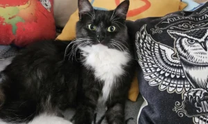 Tierärztliche Fachpraxis Dr. Marie-Luise Schindler