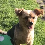 Tierärztliche Gemeinschaftspraxis Ebeling GbR