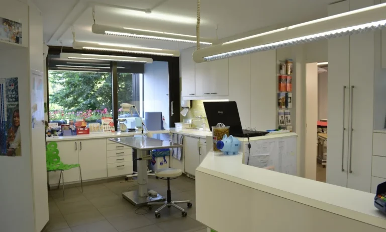 Tierärztliche Praxis am Römerlager Dr. Dr. Axel Holst & Max Holst GbR