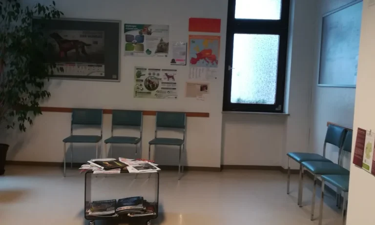 Tierärztliche Praxis Dr. med. vet. Elke Grothues