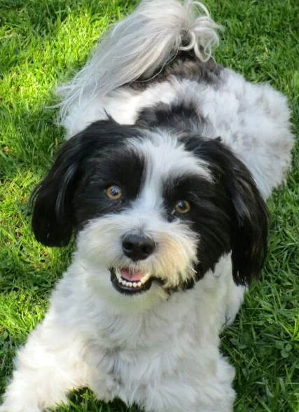 Tierärztliche Praxis Dr. Till Erben (keine Notfallpraxis)