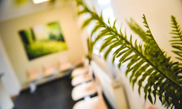 Tierärztliche Praxis Dr. Till Erben (keine Notfallpraxis)