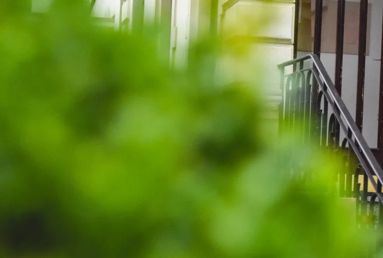 Tierärztliche Praxis Dr. Till Erben (keine Notfallpraxis)