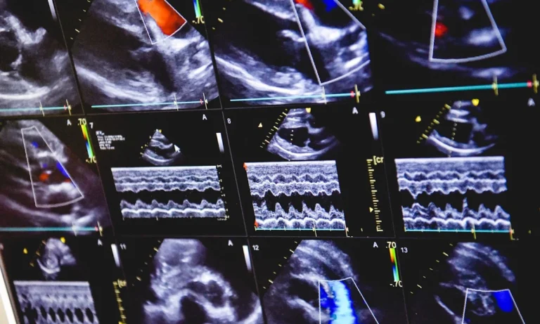 Tierärztliche Praxis Dr. Till Erben (keine Notfallpraxis)