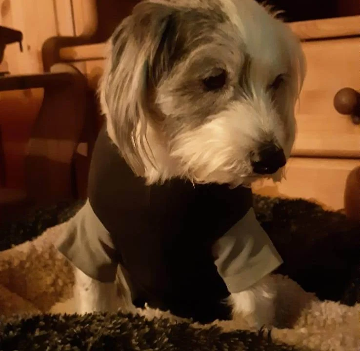 Tierärztliche Praxis Dr. Till Erben (keine Notfallpraxis)