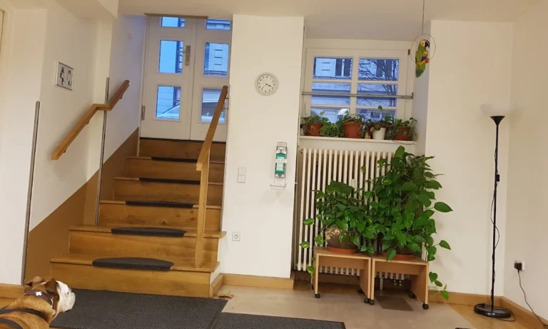 Tierärztliche Praxis für Augenerkrankungen Dr. Emmelmann & Dr. Fengler