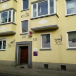 Tierärztliche Praxis für Kleintiere