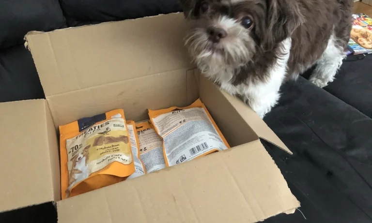 Tierärztliche Praxis für Kleintiere Heidi Egbering