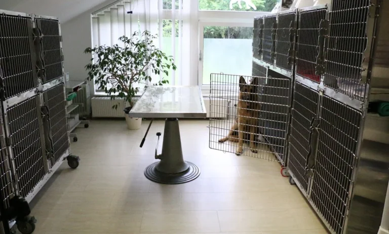 Tierärztliche Praxis Schwarz