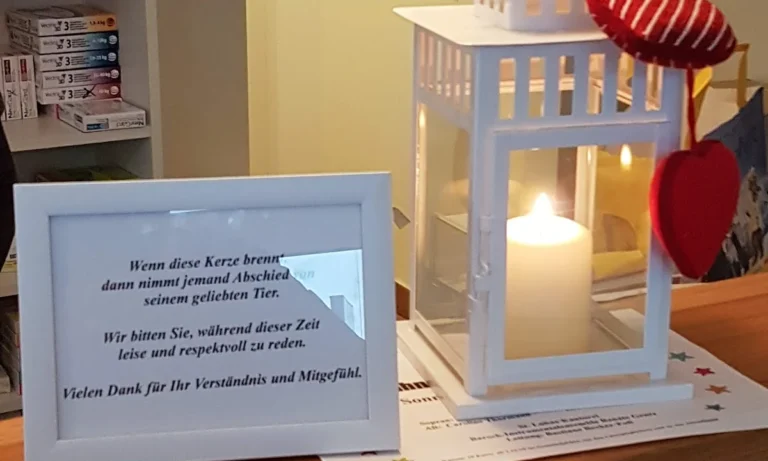 Tierarztpraxis - Alsterhöhe Stephanie Mauer | Hamburg Fuhlsbüttel