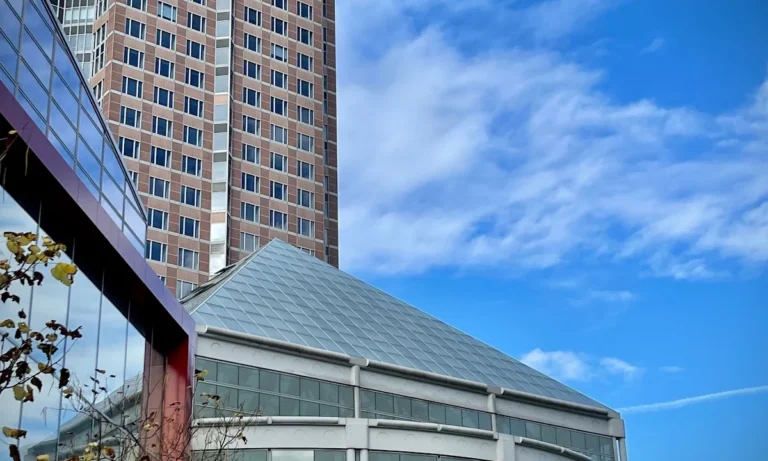 Tierarztpraxis Am Bessemer-Park Oliver Buck-Werner