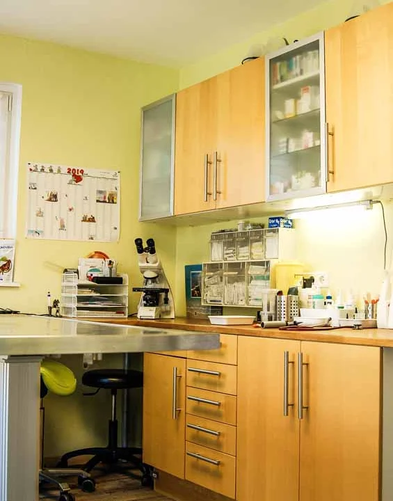 Tierarztpraxis Am Drömling