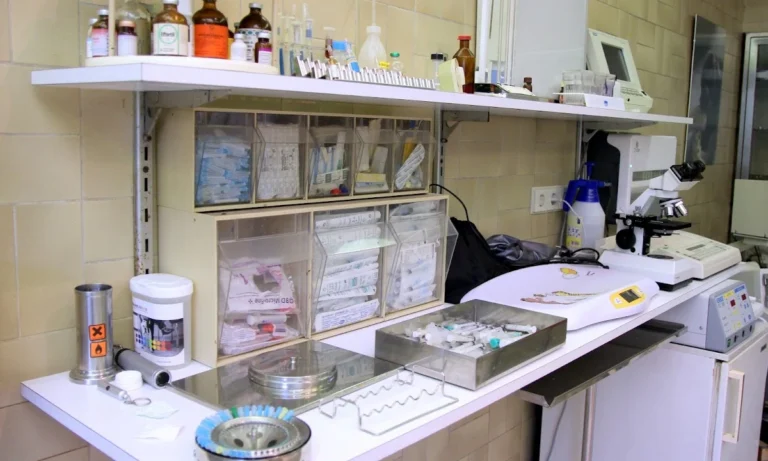 Tierarztpraxis am Gesundbrunnen - Dr. Volker Robl und Dr. Till Robl