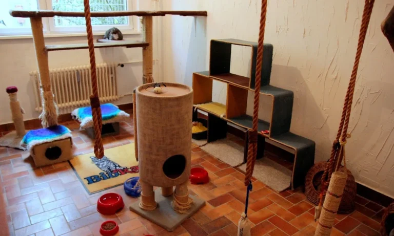 Tierarztpraxis am Gesundbrunnen - Dr. Volker Robl und Dr. Till Robl