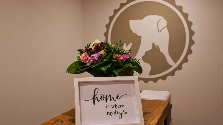 Tierarztpraxis am Grillendamm