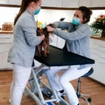 Tierarztpraxis am Grillendamm