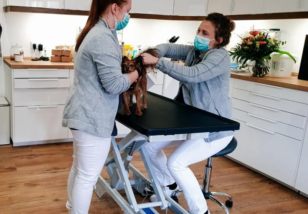 Tierarzt Tierarztpraxis am Grillendamm Brandenburg