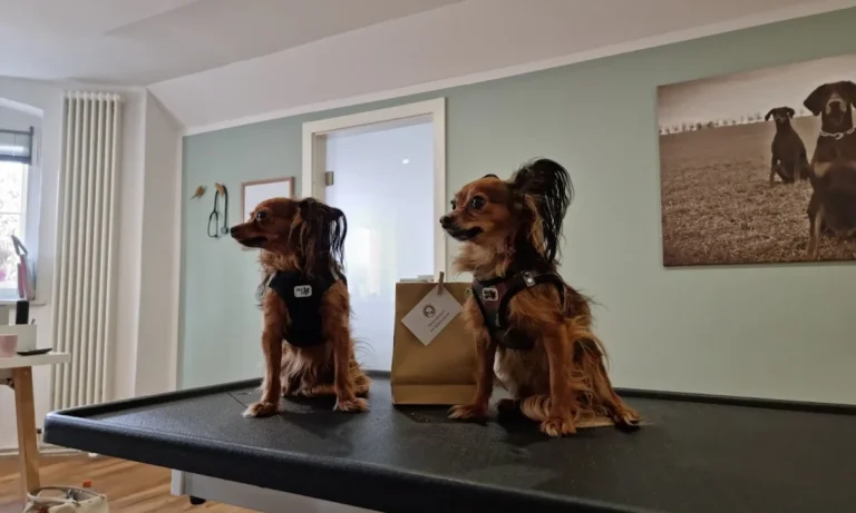 Tierarztpraxis am Grillendamm