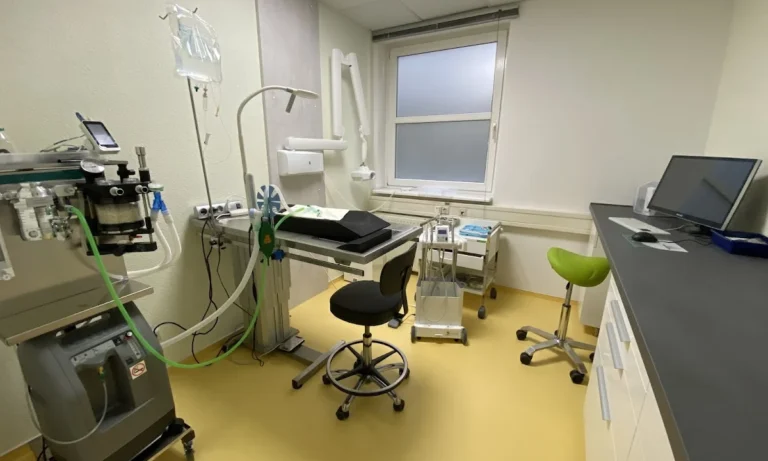 Tierarztpraxis am Stern - Norma Weiß