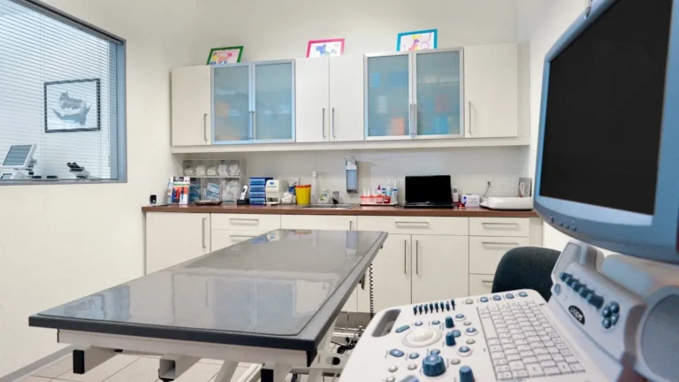 Tierarztpraxis am Stern - Norma Weiß