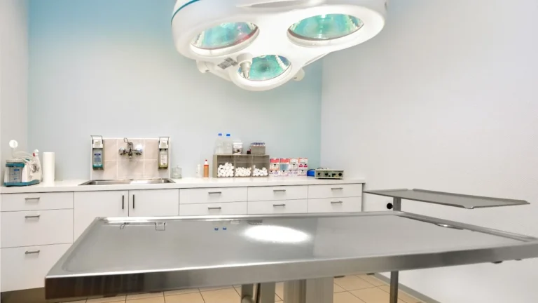 Tierarztpraxis am Stern - Norma Weiß