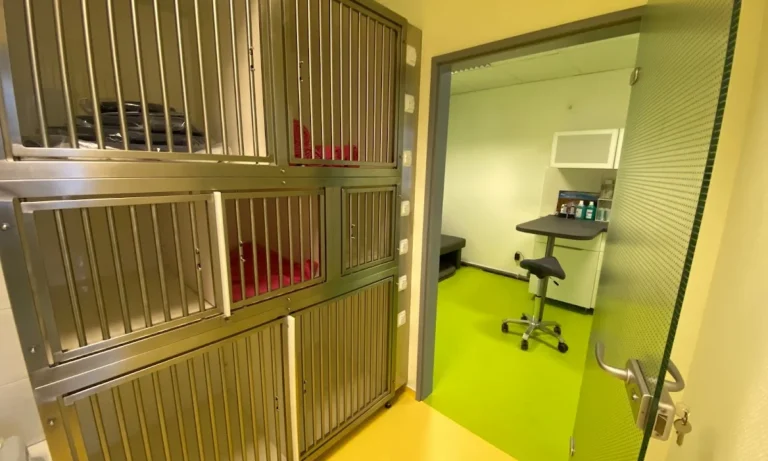 Tierarztpraxis am Stern - Norma Weiß