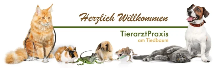 Tierarztpraxis am Tiedbaum | Brinkötter | Münster