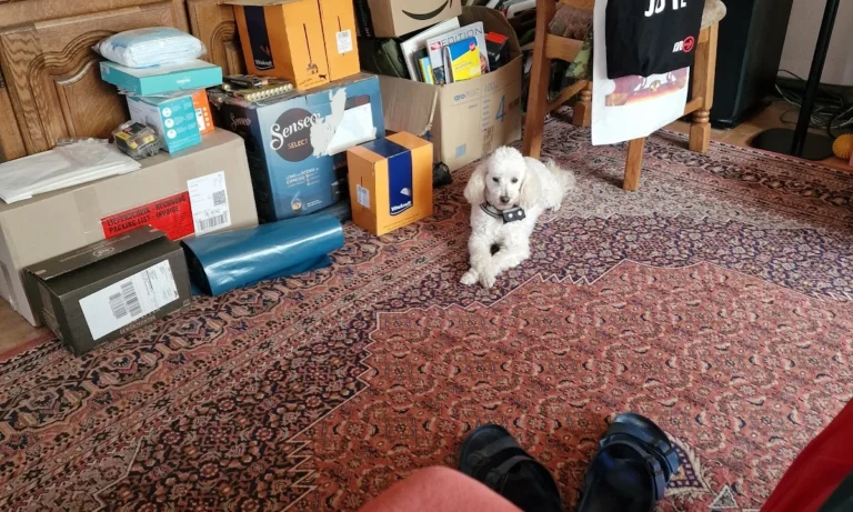 Tierarztpraxis am Vogelsang Dr. K. Steinheuer, J. Meuer