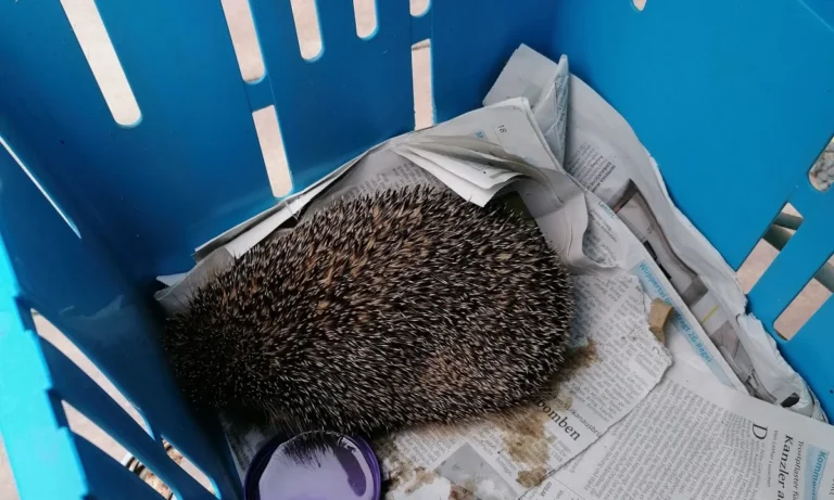 Tierarztpraxis am Vogelsang Dr. K. Steinheuer, J. Meuer