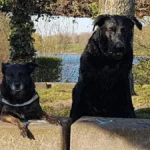 Tierarztpraxis am Zoo - Dr. Sarah und Dr. Ulf Reichert